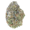 Bulk Discount Indoor Flower