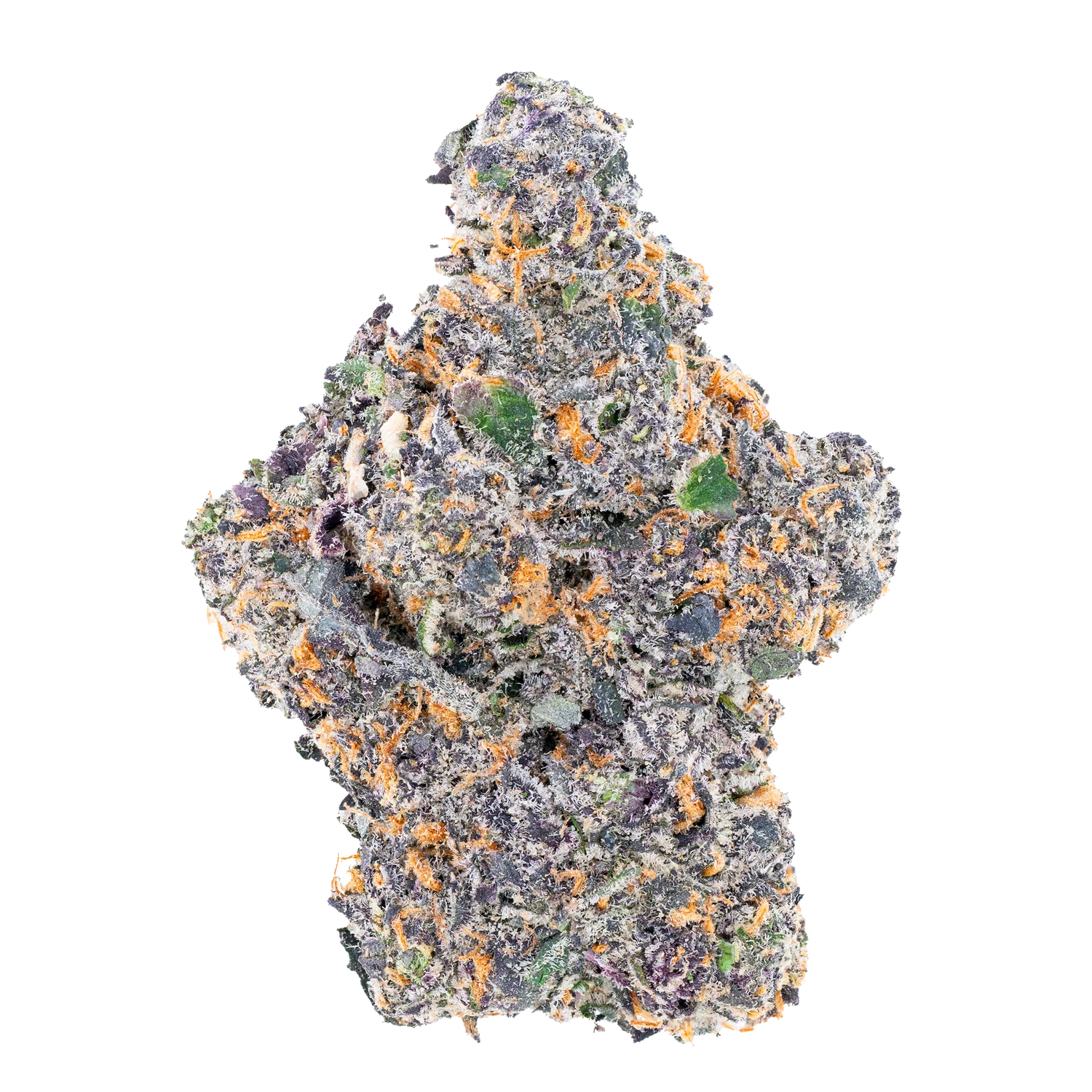 Bulk Exotic Flower