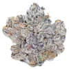 Bulk Super Exotic Flower